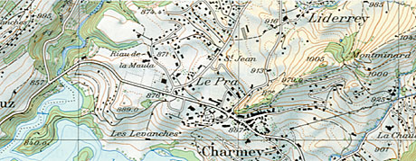 Map (relief shading and yellow tone)
